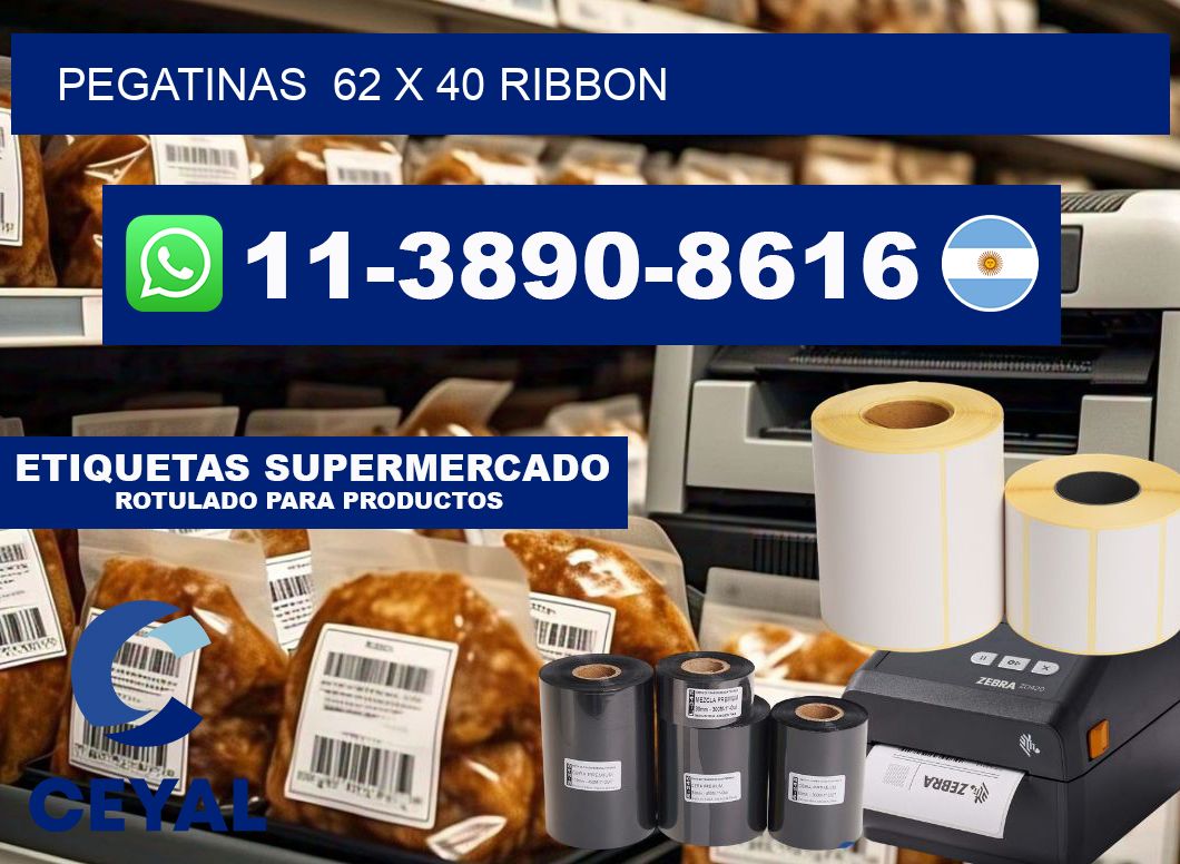 pegatinas  62 x 40 ribbon