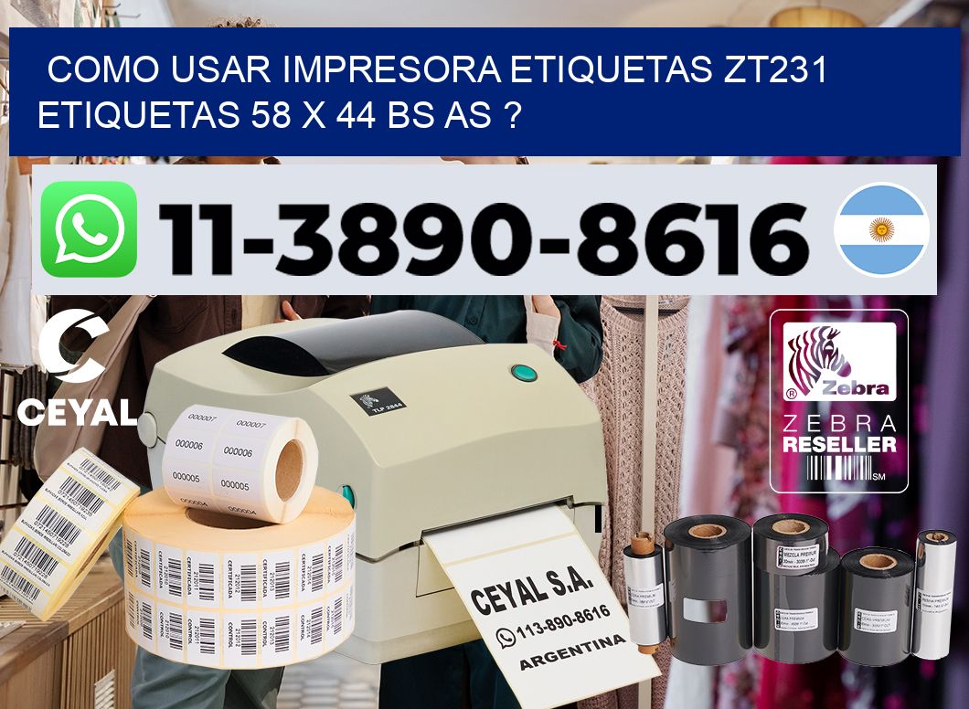 como usar impresora etiquetas zt231 etiquetas 58 x 44 BS AS ?