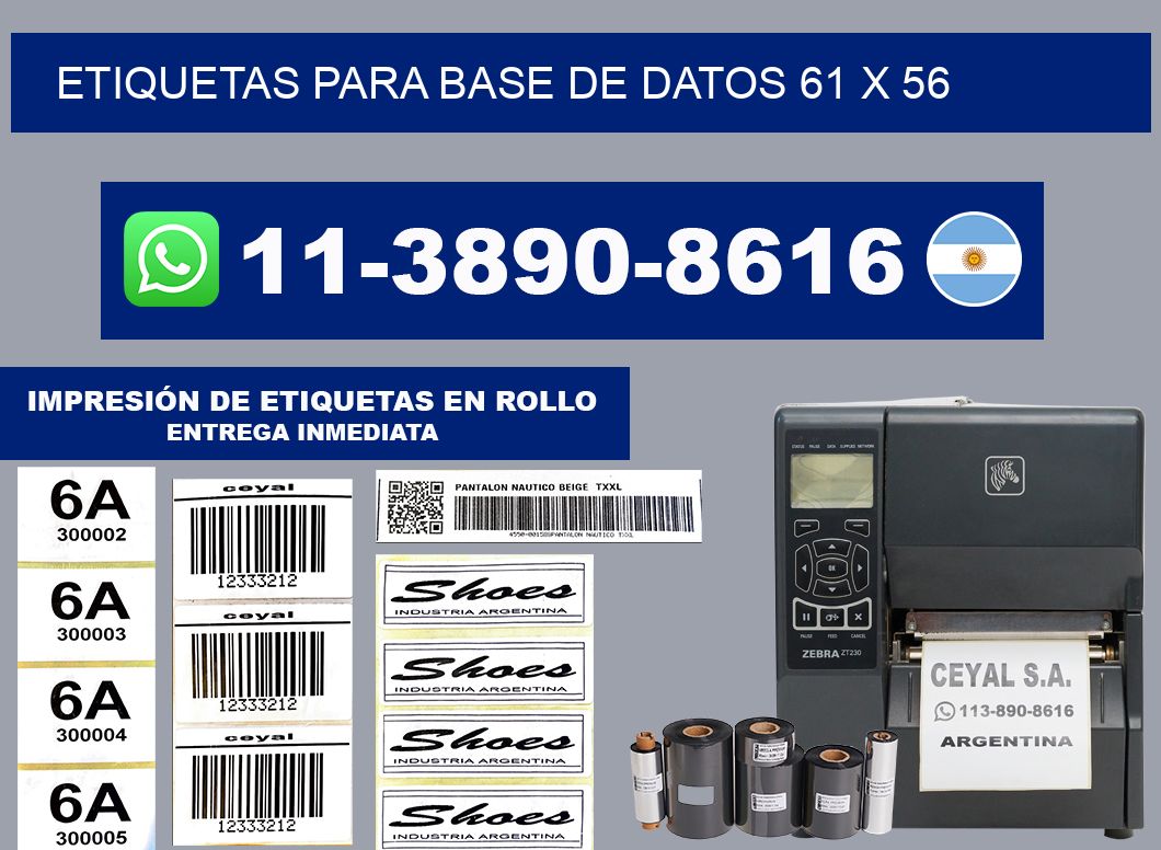 etiquetas para base de datos 61 x 56