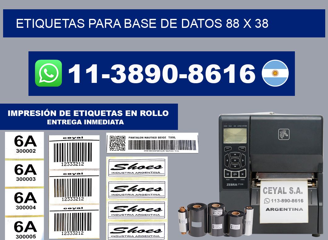 etiquetas para base de datos 88 x 38