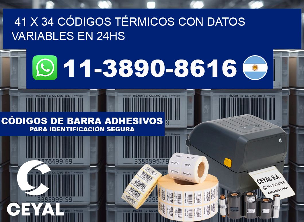 41 x 34 CÓDIGOS TÉRMICOS CON DATOS VARIABLES EN 24HS