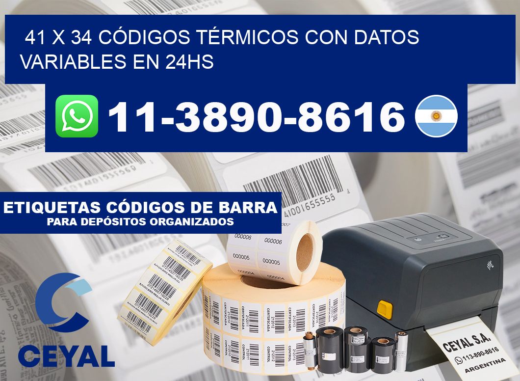 41 x 34 CÓDIGOS TÉRMICOS CON DATOS VARIABLES EN 24HS