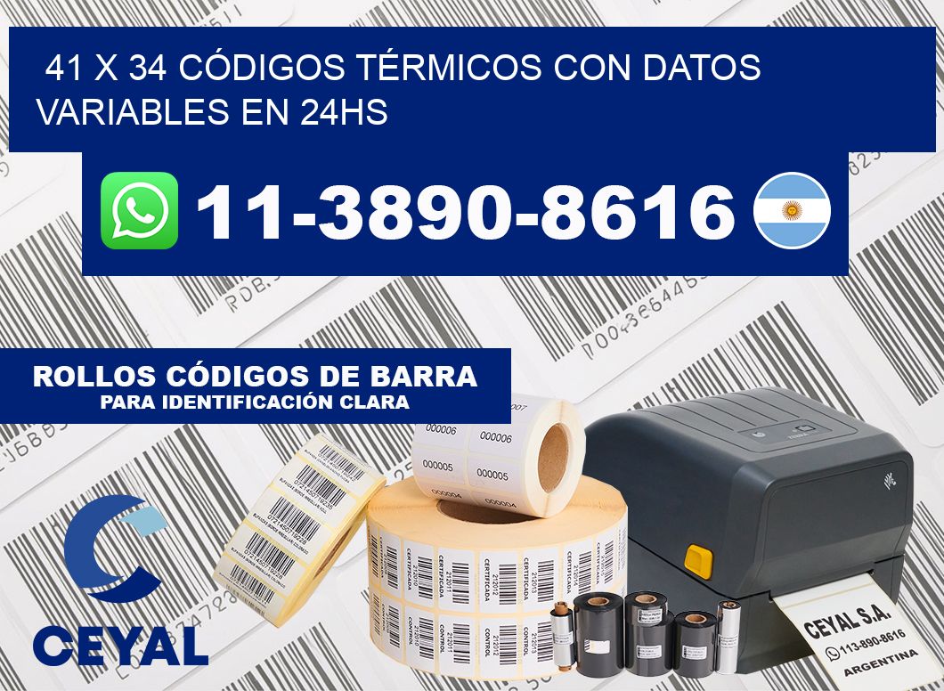 41 x 34 CÓDIGOS TÉRMICOS CON DATOS VARIABLES EN 24HS