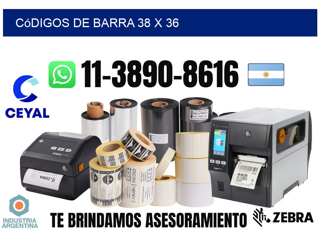códigos de barra 38 x 36