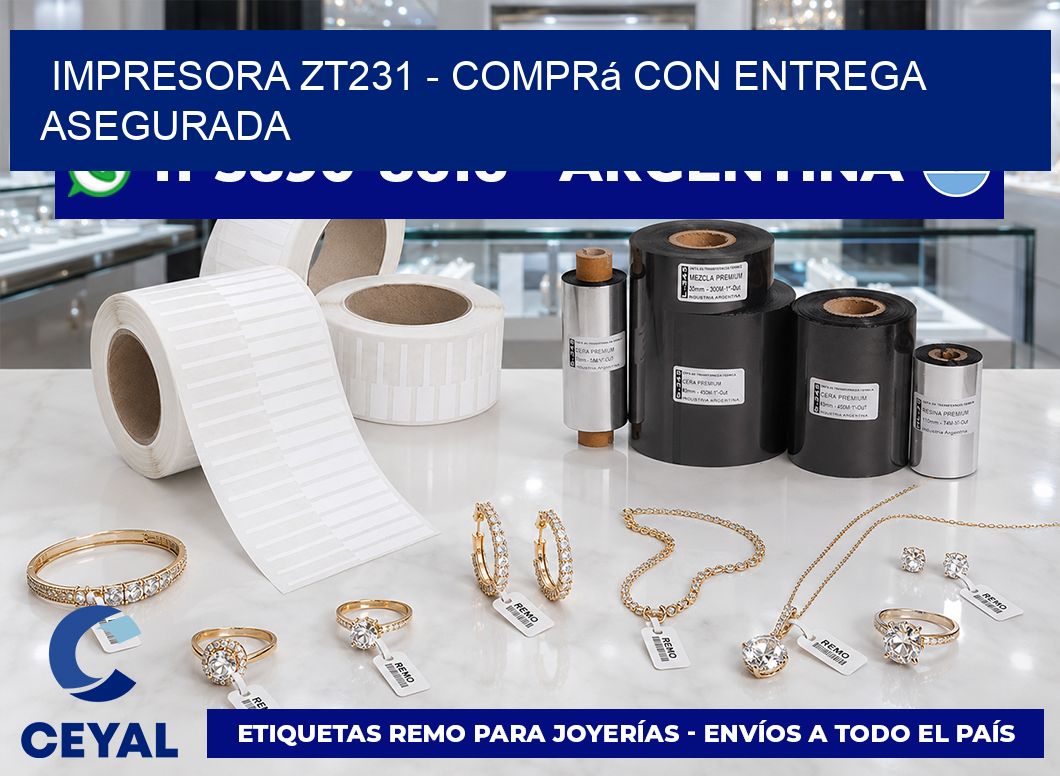 IMPRESORA ZT231 - Comprá con entrega asegurada
